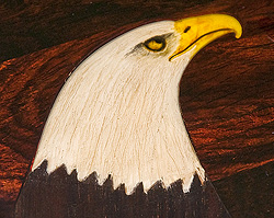 cripes eagle